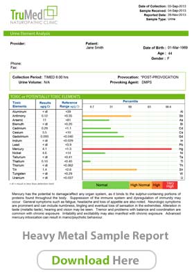 Heavy Metal Toxicity Testing and Chelation Sample Report