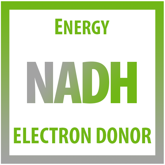 IV NADH Infusions Edmonton